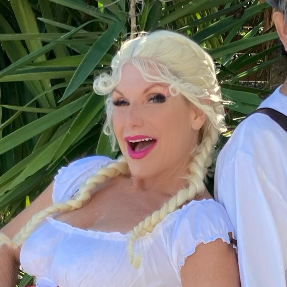 Lace Front French Braids Long Blonde Braids Wig